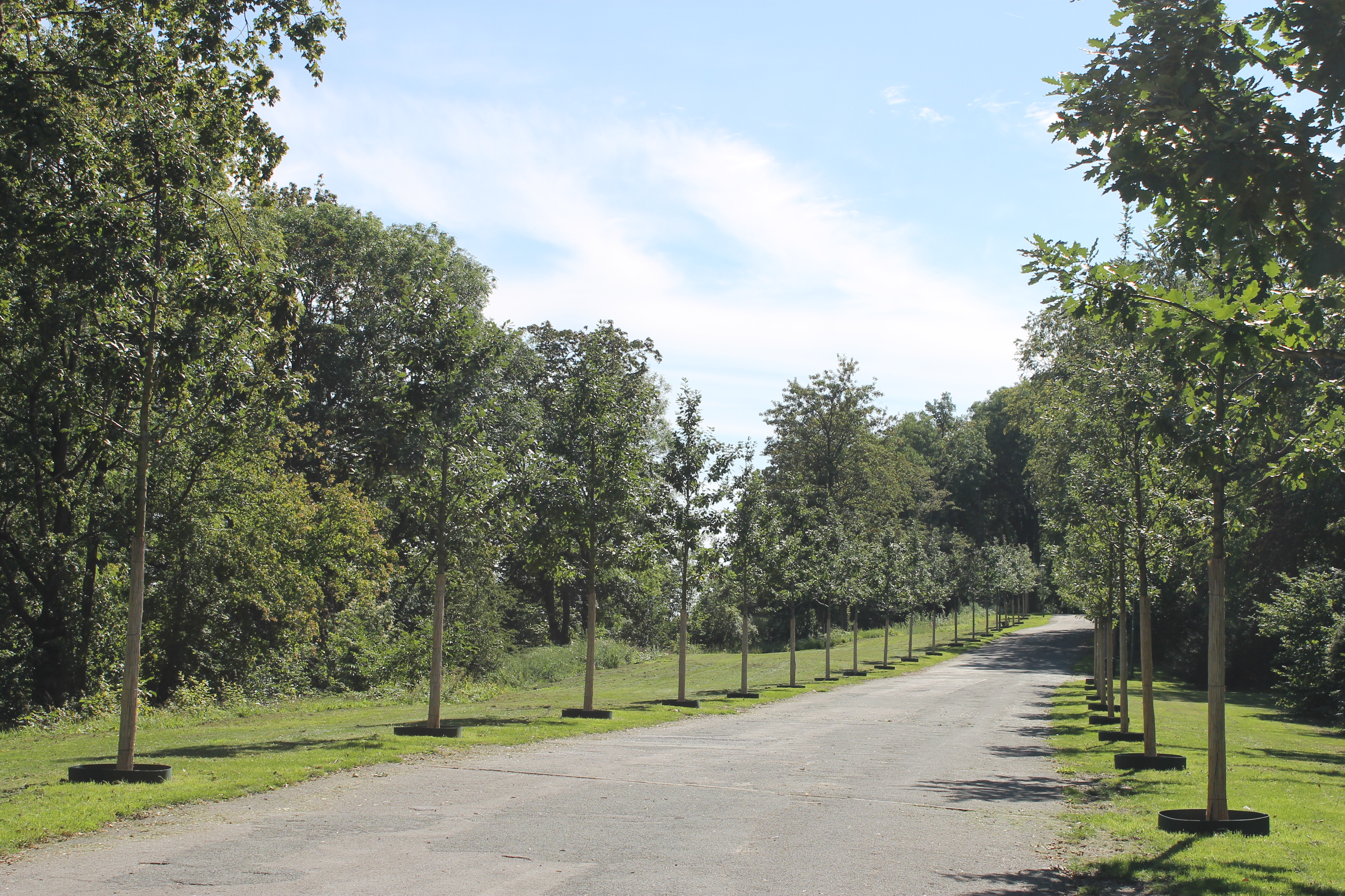 Promenade Promenade