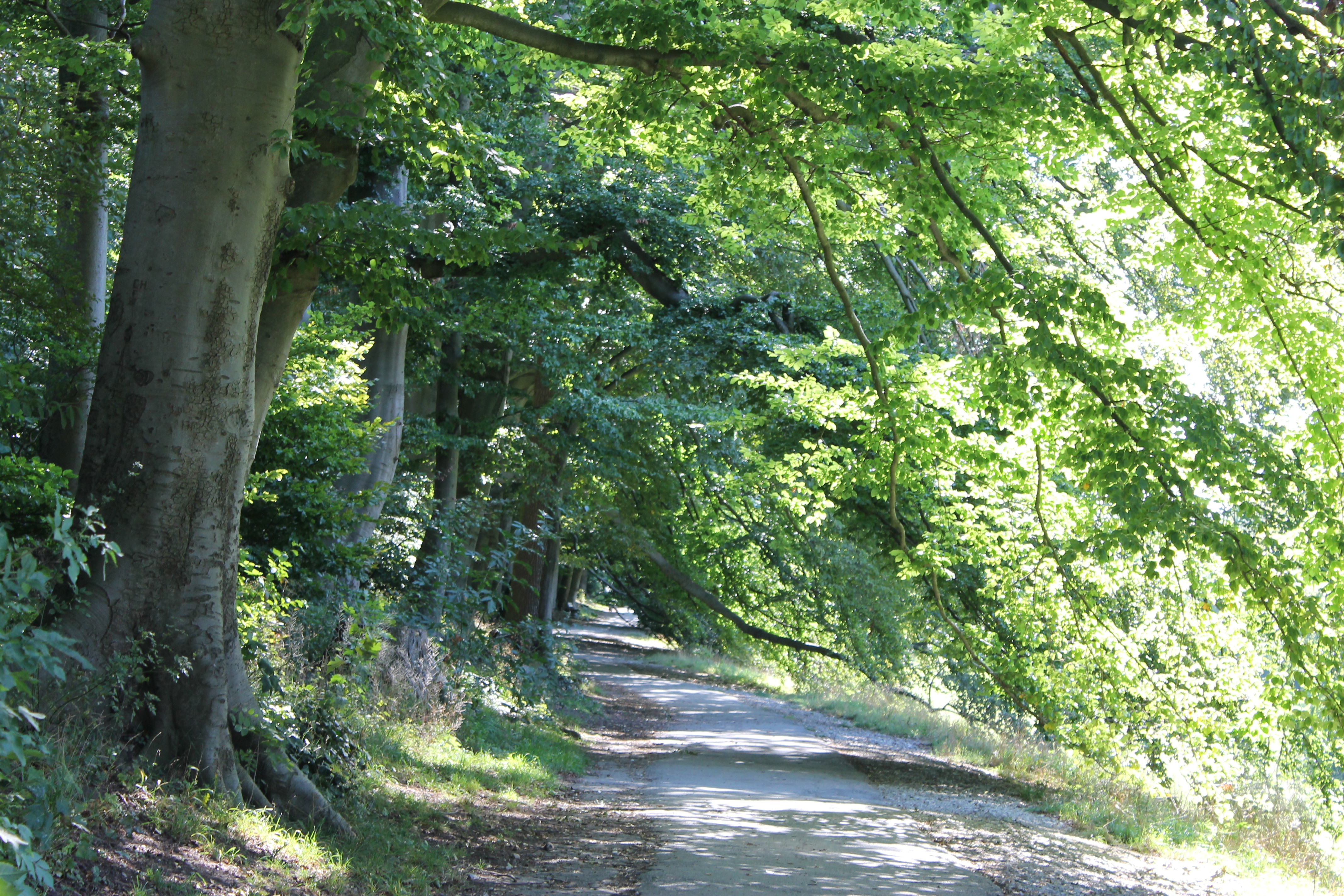 Promenade Promenade