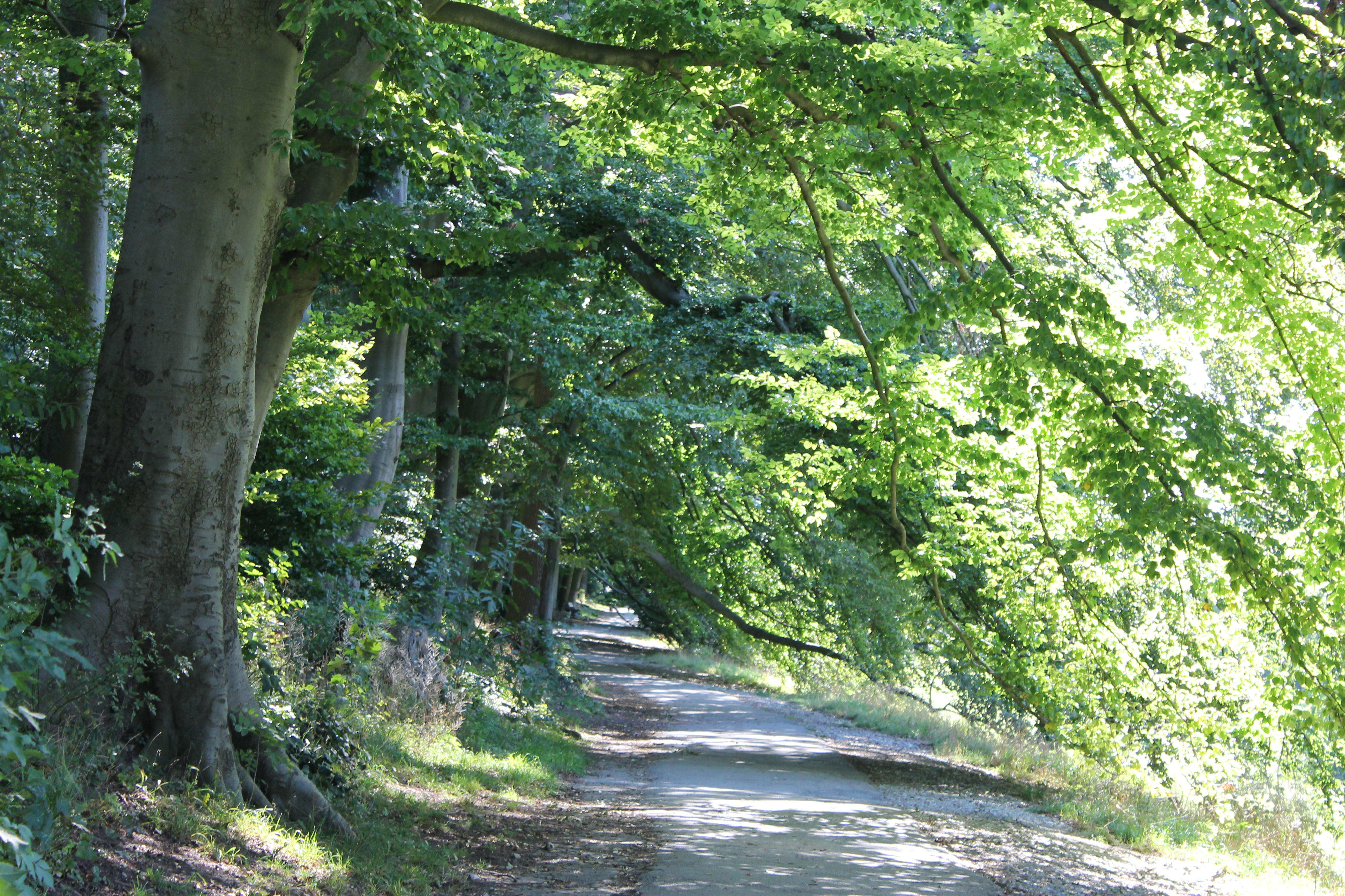 Promenade