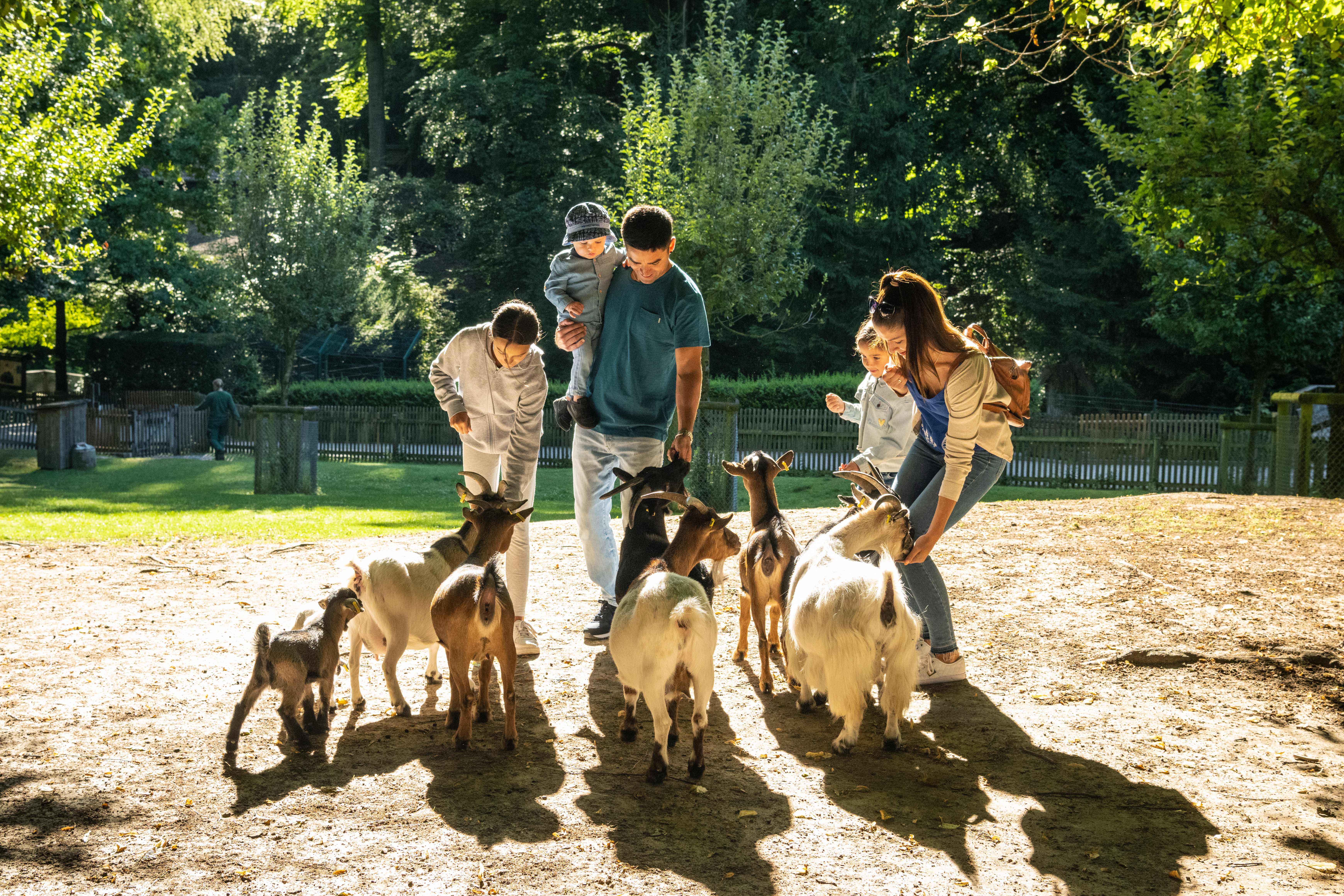 Tierpark_Olderdissen_Familie