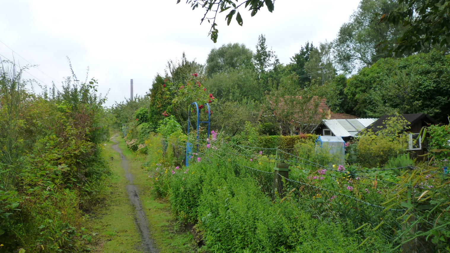 Gärtnern am Containerbahnhof