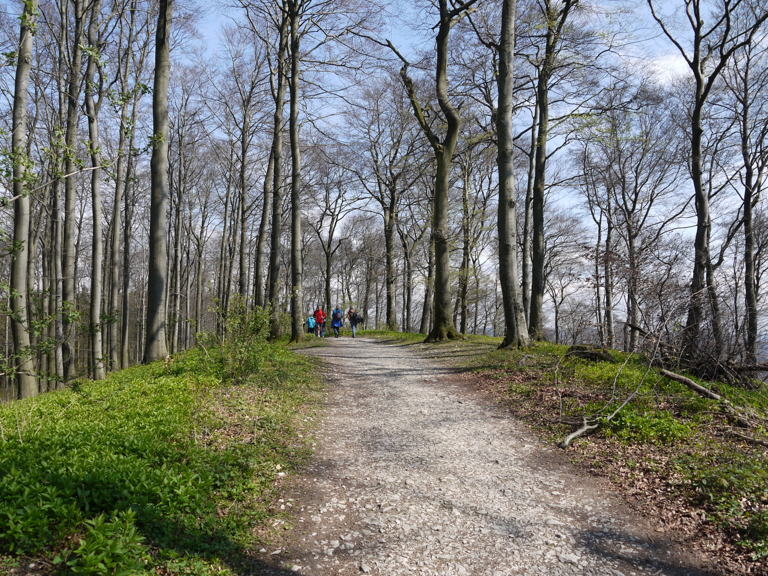 Wandern | Bielefeld