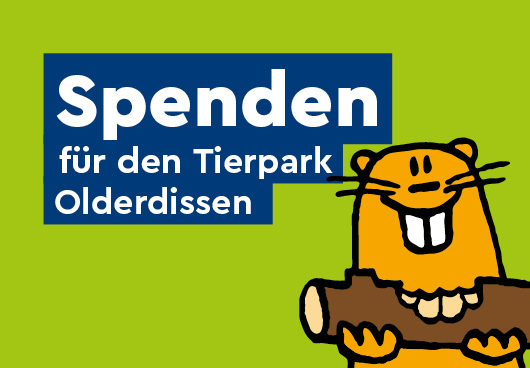 Illustration eines Bibers mit dem Schriftzug "Spenden für den Tierpark Olderdissen"