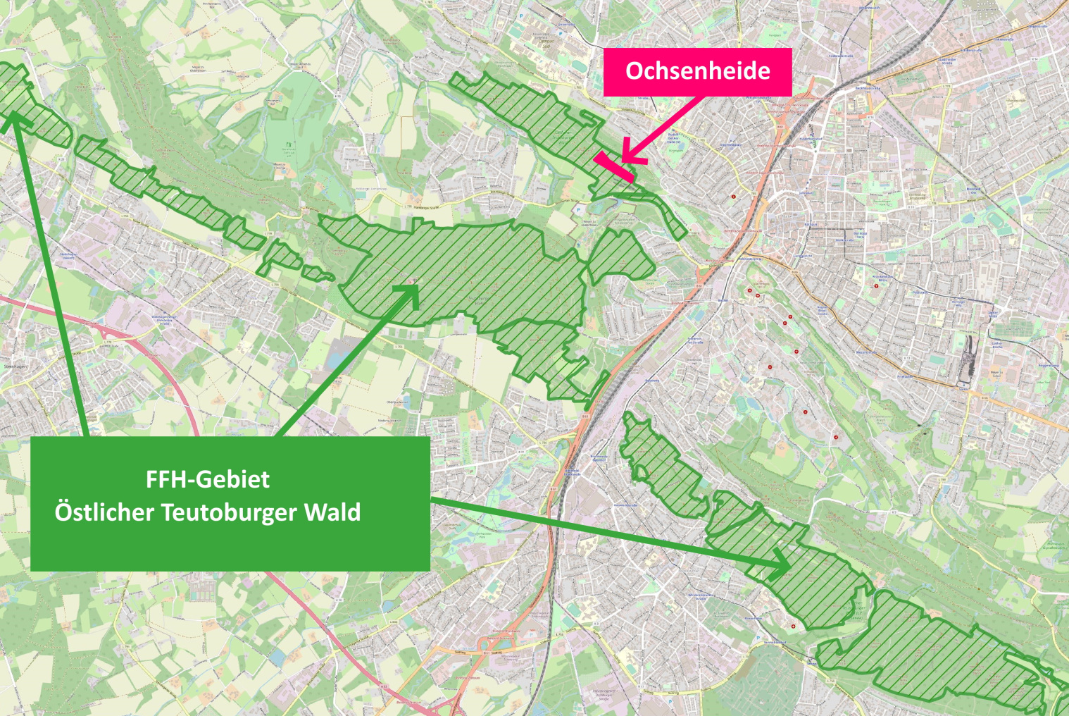 FFH-Gebiet Östlicher Teutoburger Wald mit Ochsenheide; Grafik: Biologische Station Gütersloh/ Bielefeld e.V.
