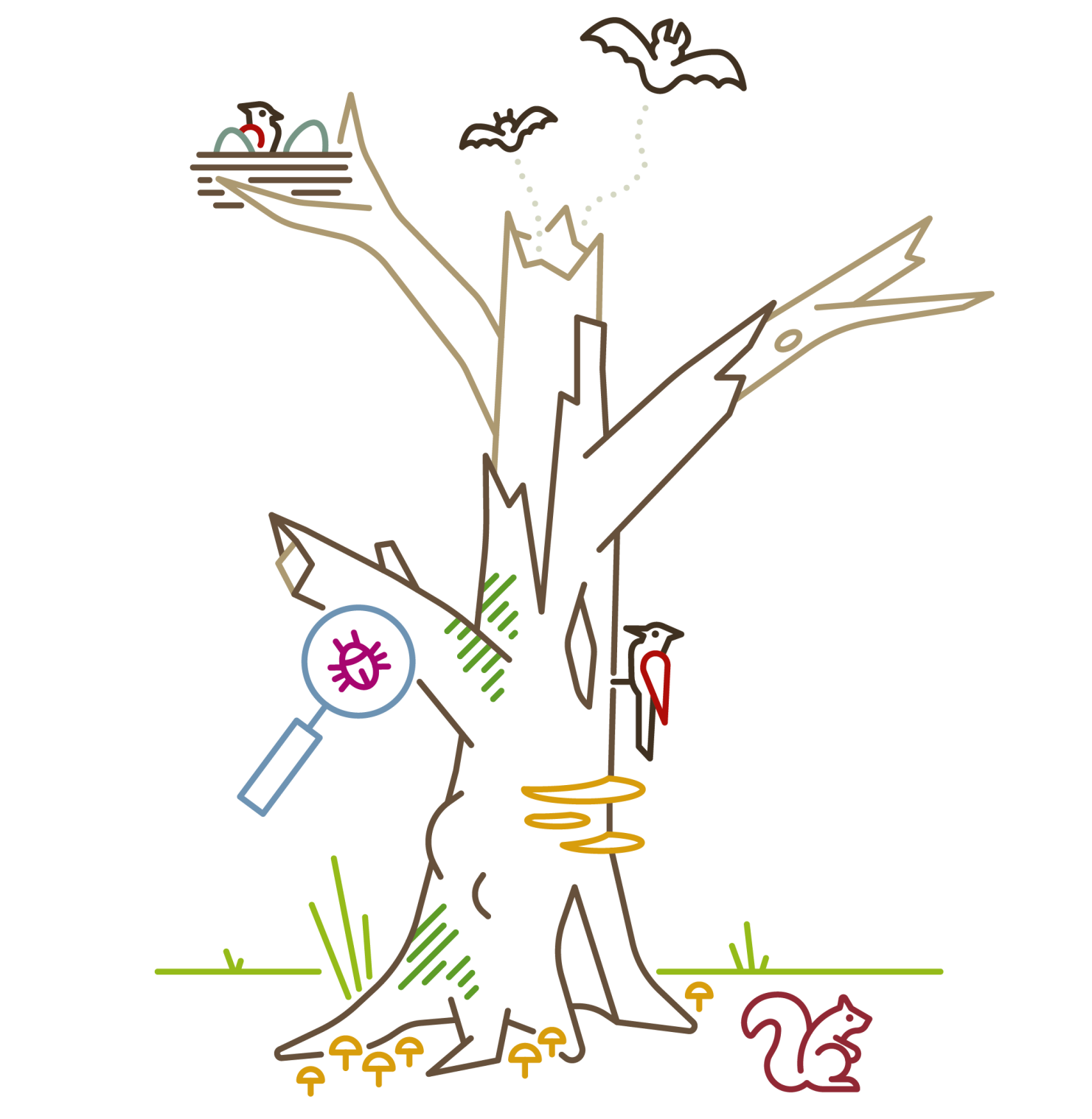 Skizze Baum