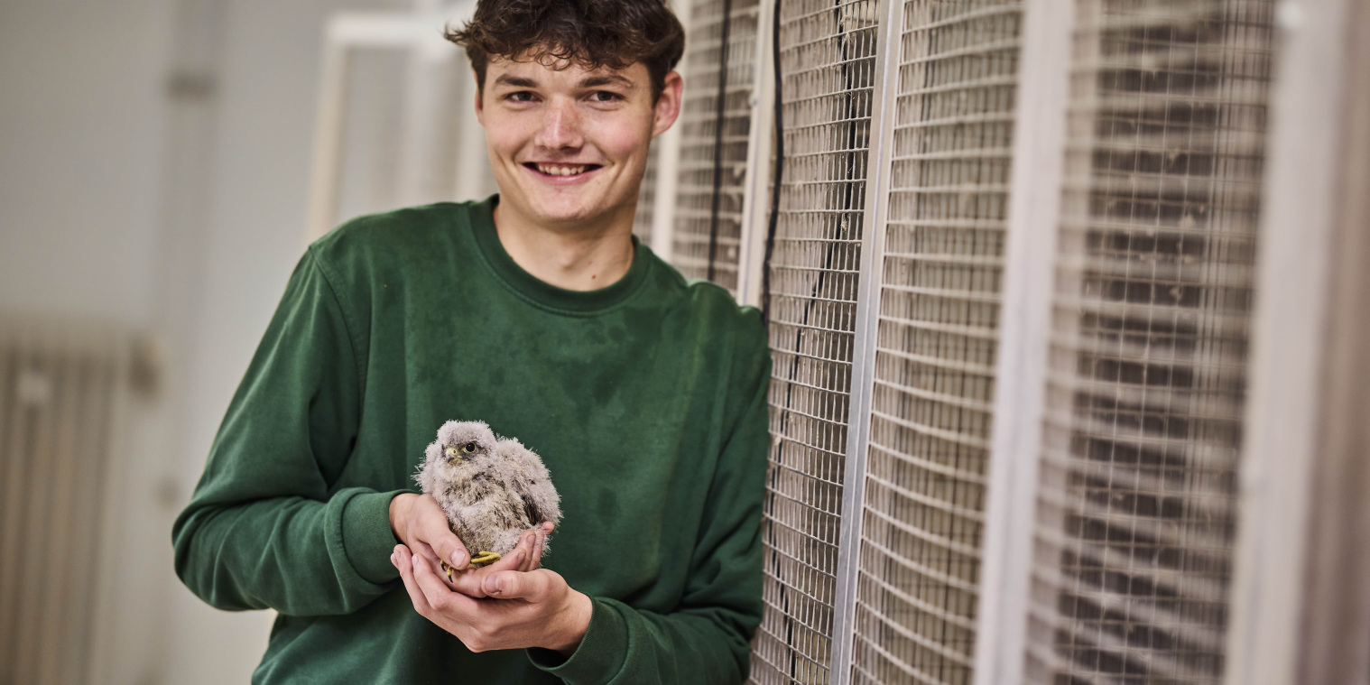 Auszubildender Hennes Tierpfleger*in Auszubildender Hennes Tierpfleger*in