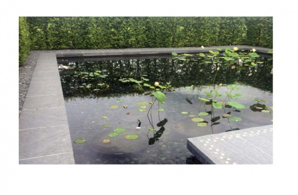 Offene Wasserflächen schaffen