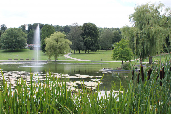 Bürgerpark mit Teich und Grünanlage