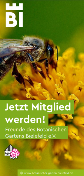 Beitrittserklärung Freunde des Botanischen Gartens Bielefeld e.V.