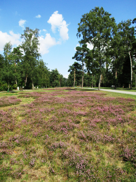 Sennefriedhof Sennefriedhof