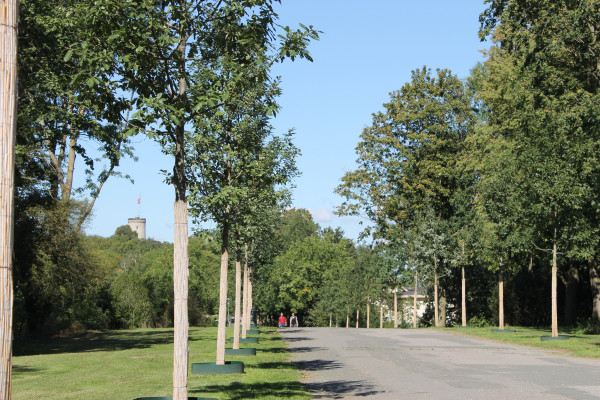 Promenade mit der Sparrenburg im Hintergrund