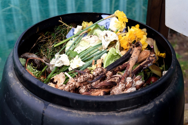 Eine volle Bio-Tonne Eine volle Bio-Tonne