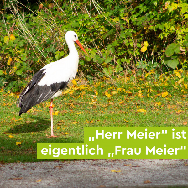Storch Herr Meier ist Frau Meier