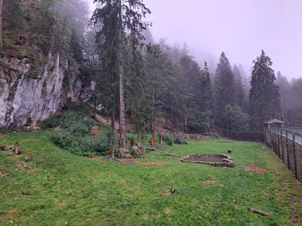 Aufnahme des Bärengeheges in der Schweizer Jura