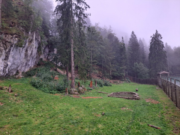 Der Tierpark, aus dem die beiden Braunbären stammen, liegt in der Schweizer Jura. Aufnahme des Bärengeheges in der Schweizer Jura