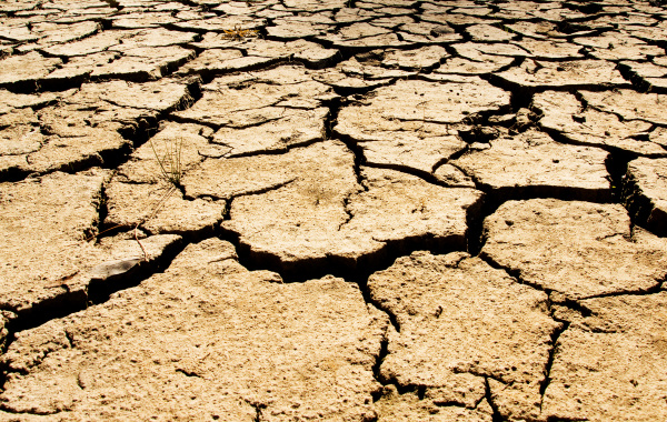 Dürre: Ausgetrockneter Boden mit Rissen infolge von Hitze