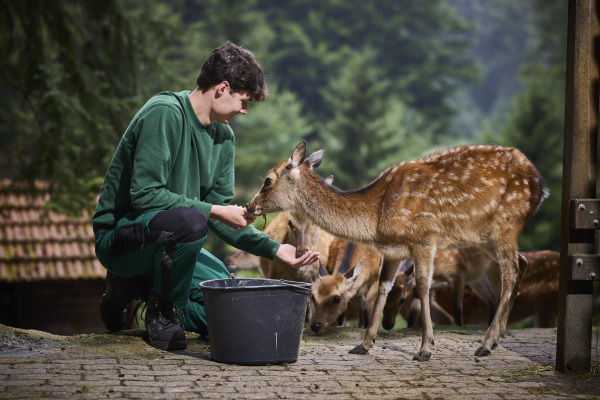 Auszubildender Hennes Tierpfleger*in