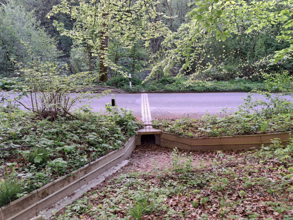 Amphibienschutzanlage an der Waterboer