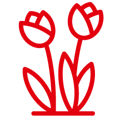 Bielefeld-Icon Blumen