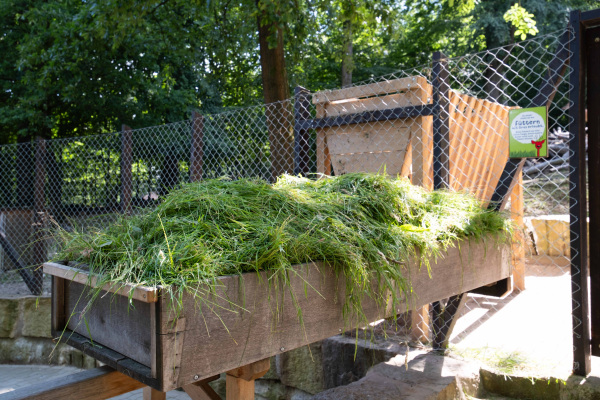 Anhänger mit Grasfütterung für Rothirsch