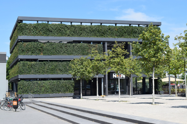 Begrüntes Gebäude