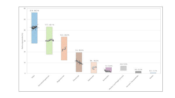 Grafik Nahrungsverteilung Igel