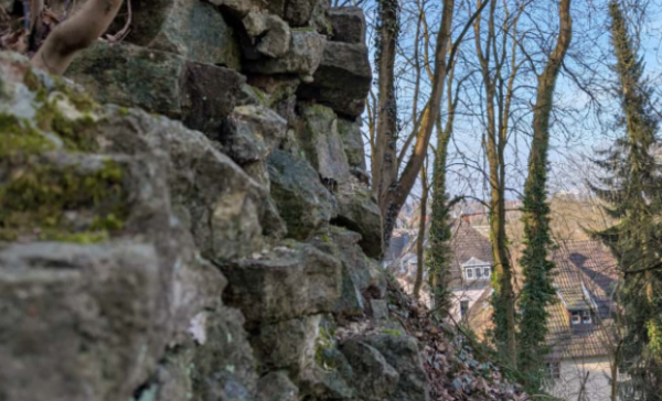 Mauerreste im Hang unterhalb der Sparrenburg müssen entfernt werden.