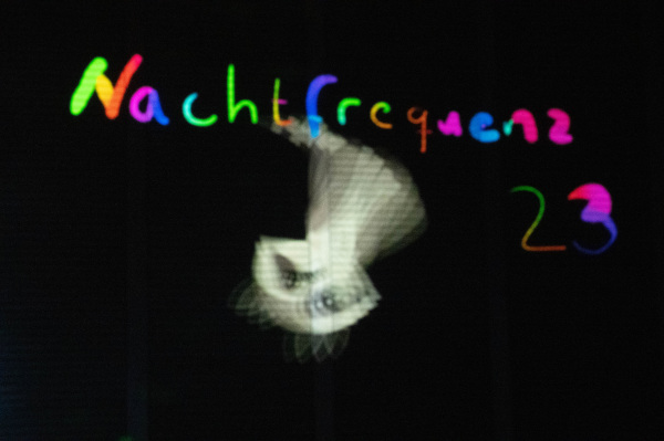Nachtfrequenz_Lisa Domin