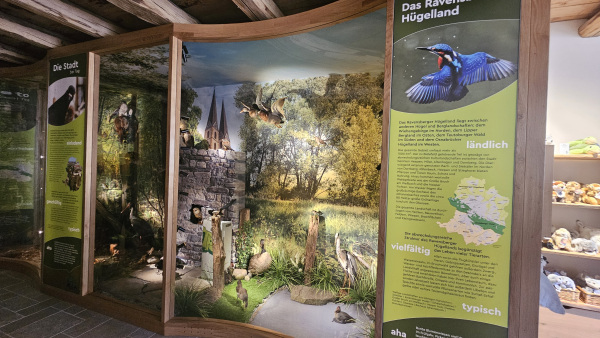 Multimediale Ausstellung. Foto: UWB/Stadt Bielefeld