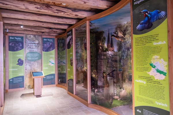 Multimediale Ausstellung, Foto: UWB