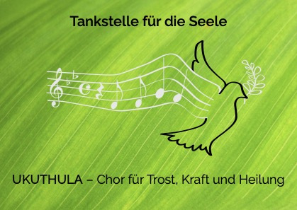 Taube auf grünen Grund
