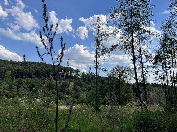 Auf einer Wanderung im Seminar