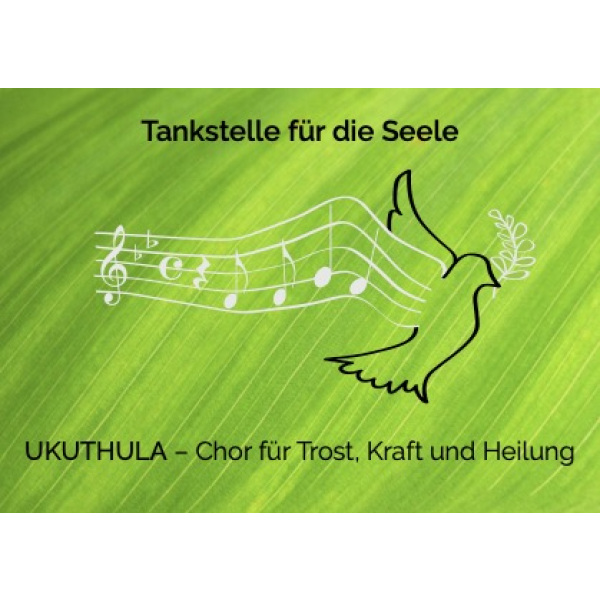 Taube auf grünen Grund