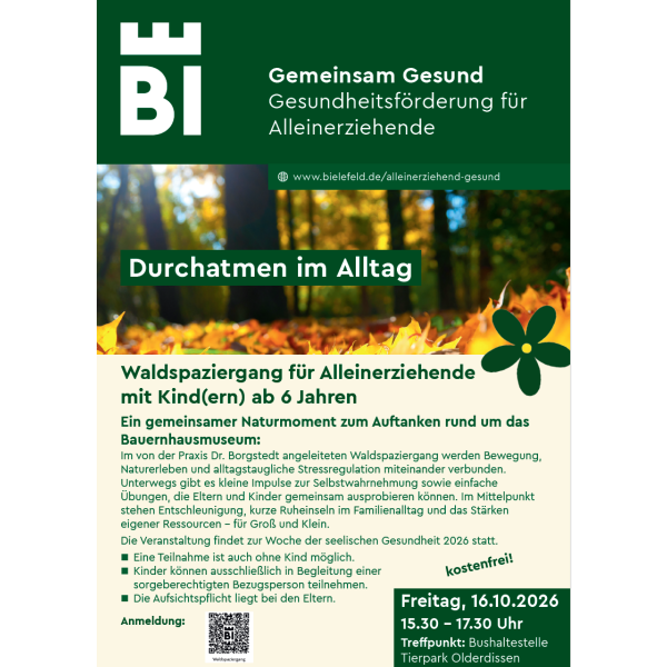 Foto Flyer grün