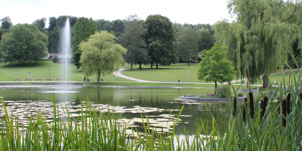 Bürgerpark mit Teich und Grünanlage