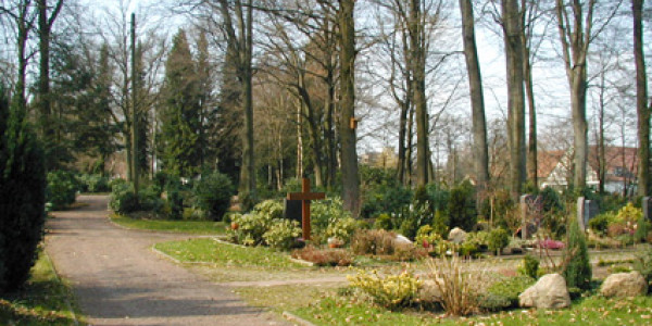 Friedhof Theesen