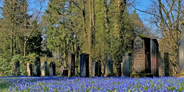 Sennefriedhof