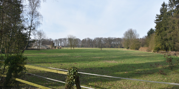 Weideflächen im Naturschutzgebiet Reiher- und Röhrbach