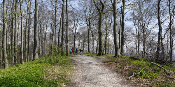 Wanderweg