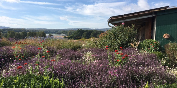 Bauerngarten Diering