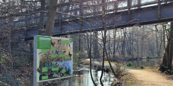 Infotafel "Lebensraum Wegesrand"