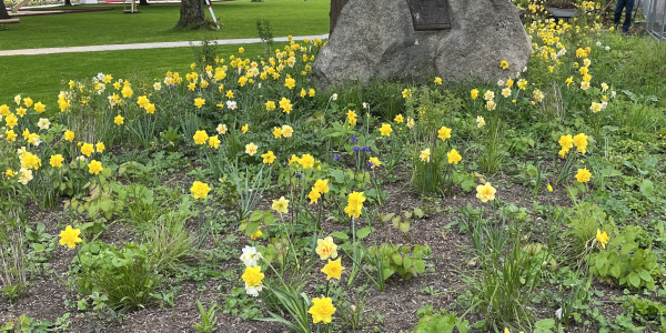 Martin Luther Denkmal, Bauamt Bielefeld