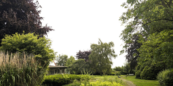 Parkimpressionen GSC