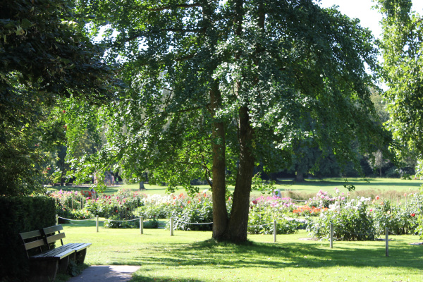 Blumenbeete und Bäume im Nordpark