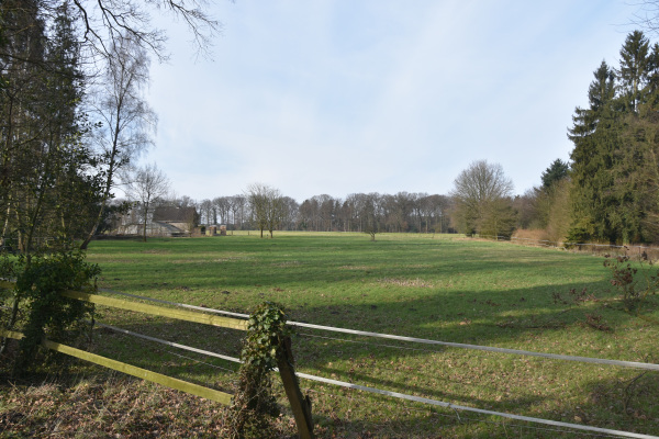 Weideflächen im Naturschutzgebiet Reiher- und Röhrbach