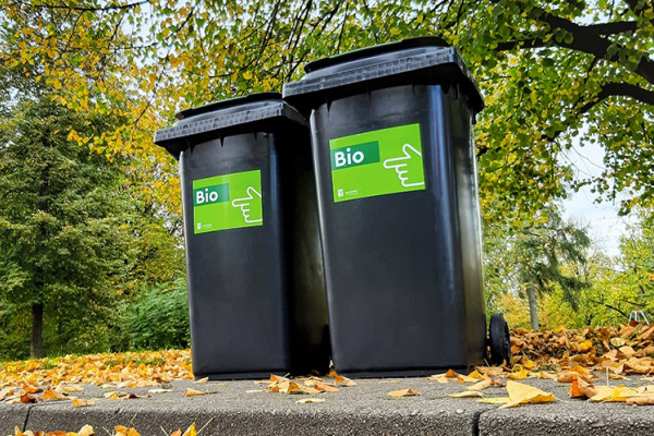 Zwei Biotonnen stehen auf einem Bordstein.