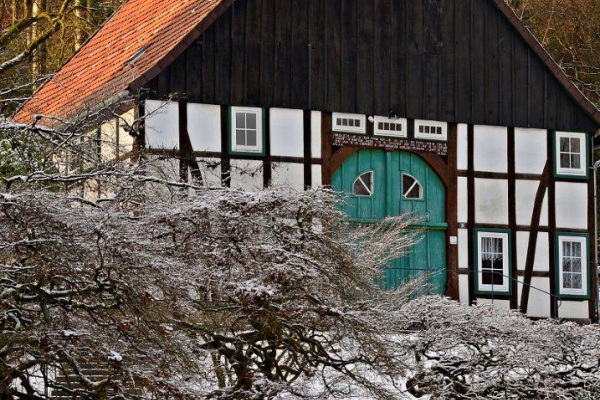 Botanischer Garten im Winter. Foto: Umweltbetrieb/Stadt Bielefeld
