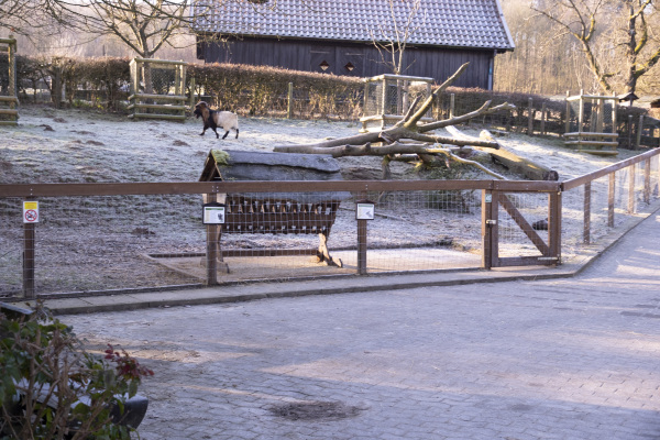 Neuer Zaun für das Gehege der Ziegenböcke in Olderdissen. Foto: UWB/Stadt Bielefeld