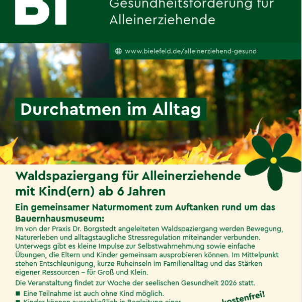 Foto Flyer grün