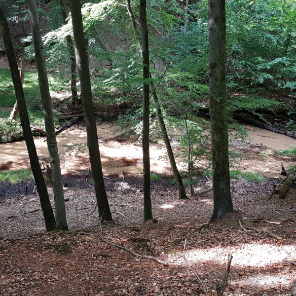 Wasser im Furlbachtal